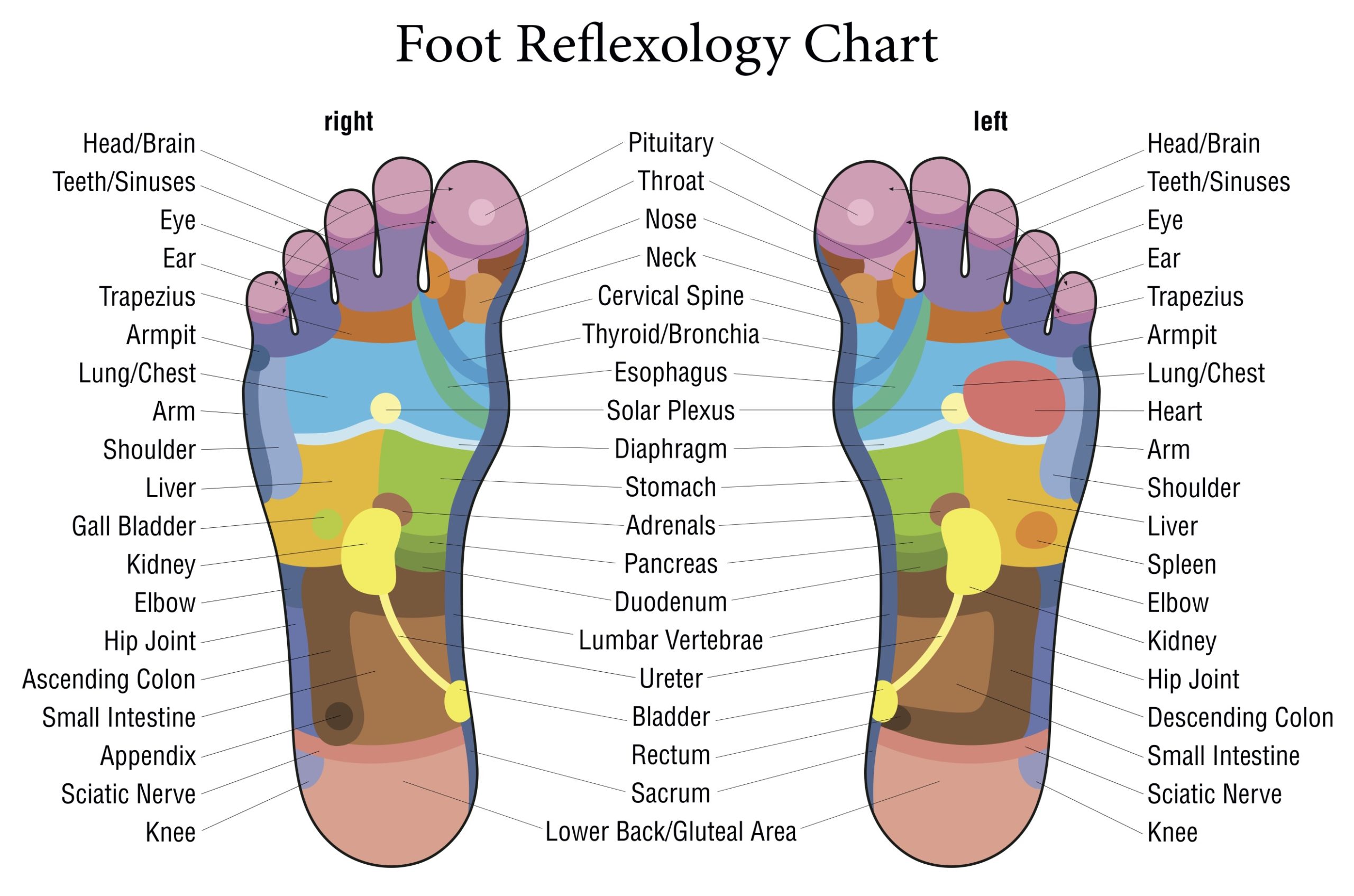 All about Reflexology